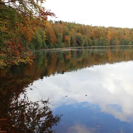 Am Waldrand Apartment