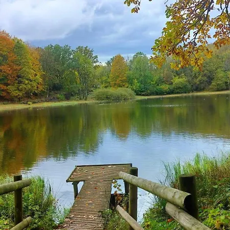 Apartment Am Waldrand