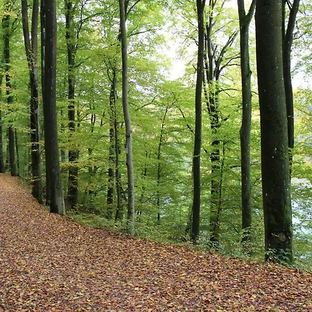 Apartment Am Waldrand *