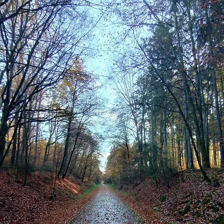 Am Waldrand *