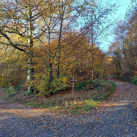 Am Waldrand Apartment