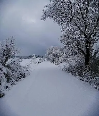 Am Waldrand Apartment *