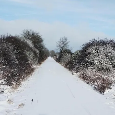 Am Waldrand Apartment *