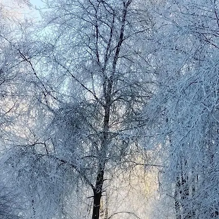 Am Waldrand