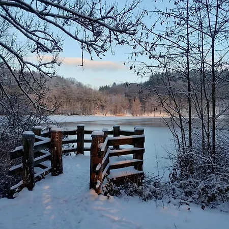 Am Waldrand Apartment Saxler