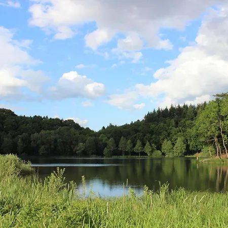 Apartment Am Waldrand Saxler