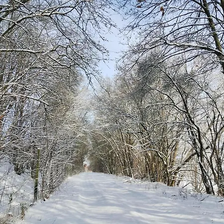 Apartment Am Waldrand Saxler