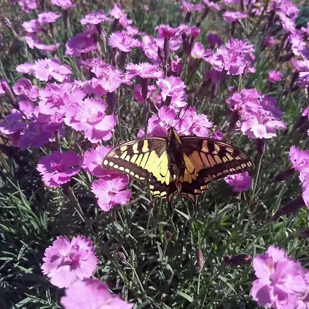 Apartment Am Waldrand