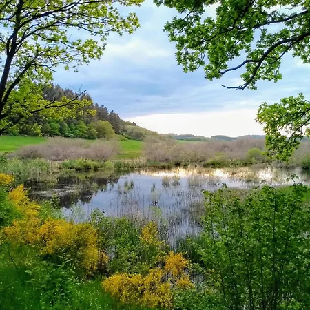 Am Waldrand Apartment Saxler