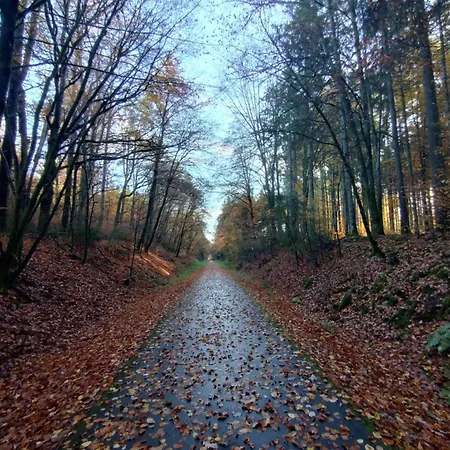 Am Waldrand *