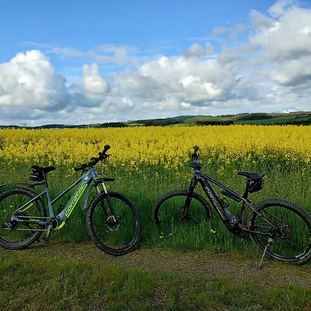 Am Waldrand * Saxler