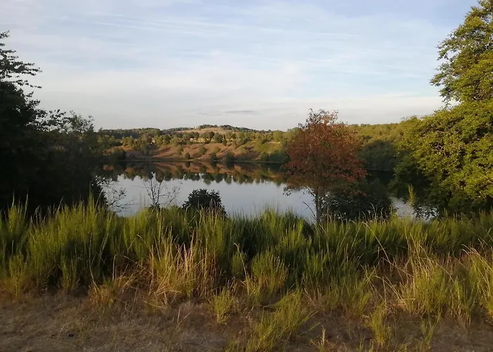 Apartment Am Waldrand *