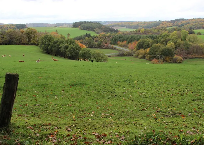 Am Waldrand * Saxler