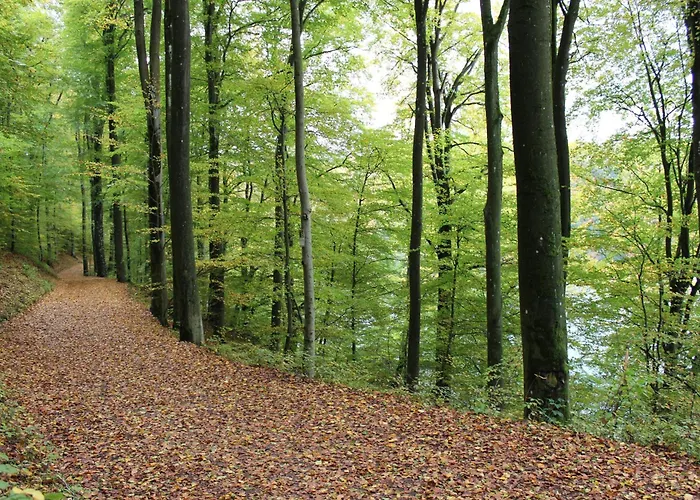 Apartment Am Waldrand *