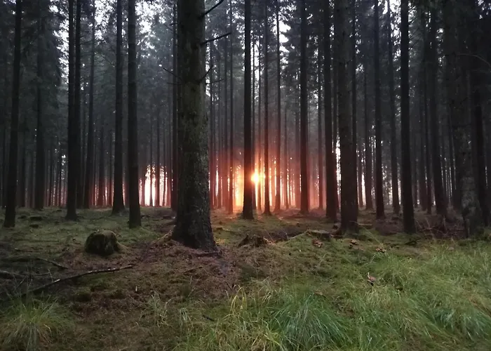 Am Waldrand Apartment Saxler