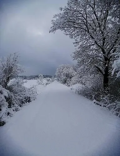 Am Waldrand Apartment *