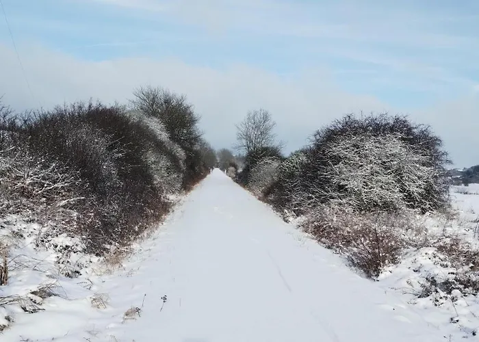 Am Waldrand Apartment *