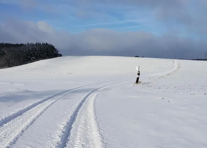 Am Waldrand Apartment Saxler