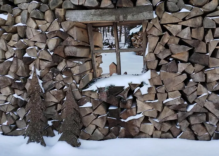 Am Waldrand Apartment *