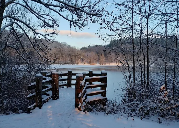 Am Waldrand Apartment Saxler