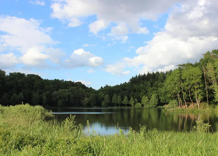 Apartment Am Waldrand Saxler