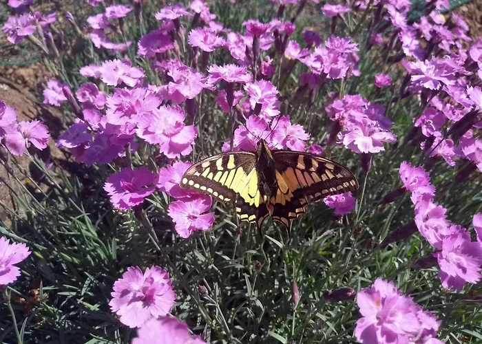 Apartment Am Waldrand