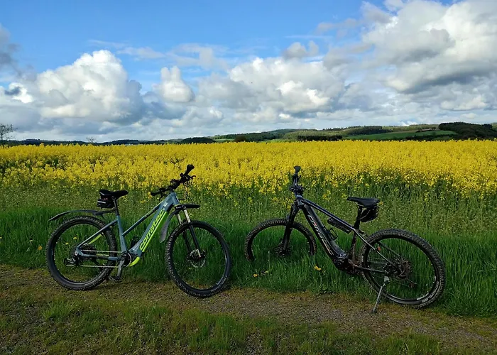 Am Waldrand * Saxler